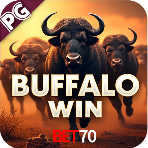 Tennis Betting bet70